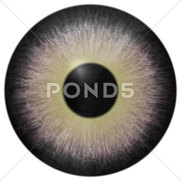 Eye iris generated hires texture Illustration #42644760