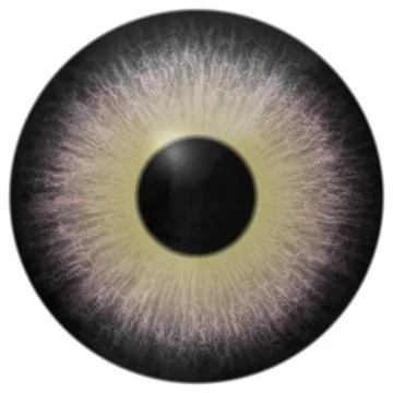 Eye iris generated hires texture Stock Illustration