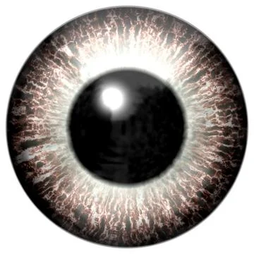 Eye iris generated hires texture Stock Illustration