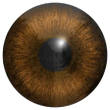 Eye iris generated hires texture Stock Illustration