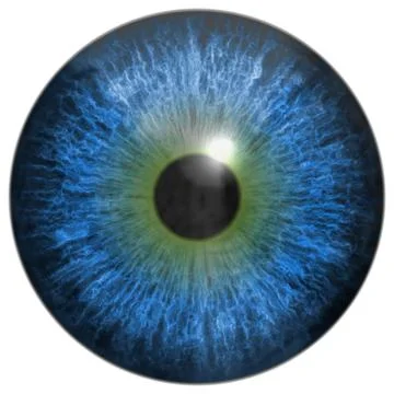 Eye iris generated hires texture Stock Illustration