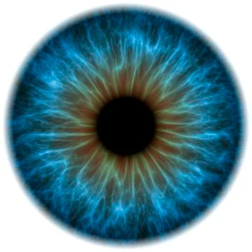 Eye, iris Stock Illustration