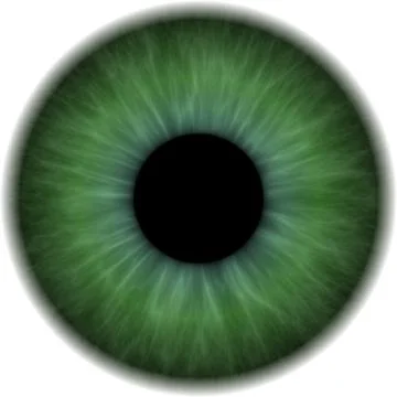 Eye iris Stock Illustration