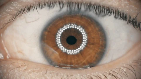 Eye iris twitching under medical lights in slow motion macro Video stock 89699318