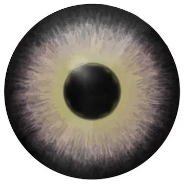 Eye iris vector texture Ilustración de archivo