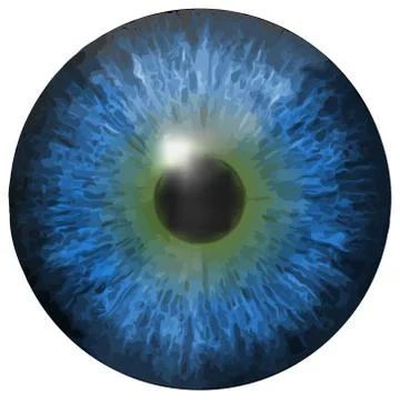 Eye iris vector texture Illustrazione stock