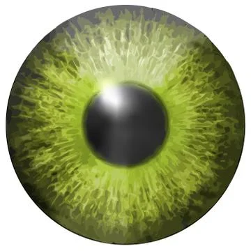 Eye iris vector texture Stock Illustration