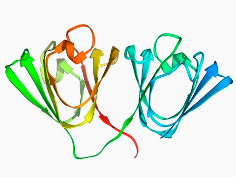 Eye lens protein molecule Stock Illustration