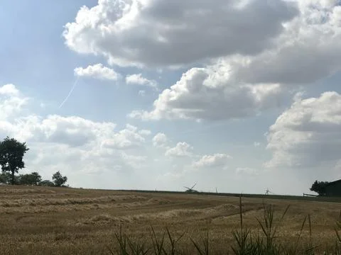 Eye level angled view shot of countryside landscape of rural cut corn field and  Stock Photos