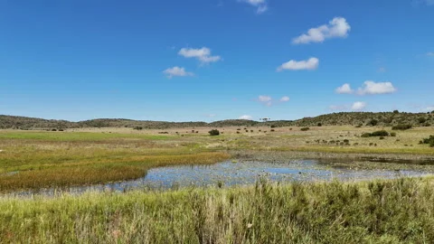 Eye level drone spraying herbicide over water to control aquatic plants 스톡 동영상 333981205