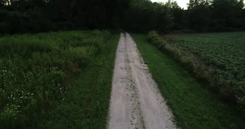 Eye level flgiht down a path at dusk Vidéo 230180191