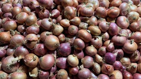 This eye-level studio shot shows a collection of fresh shallots piled togethe Foto stock