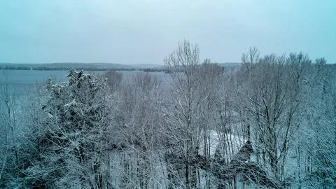 Eye Level View of Snow Covered Forest Canopy and Winter Lake Under Overcast S Stock Photos