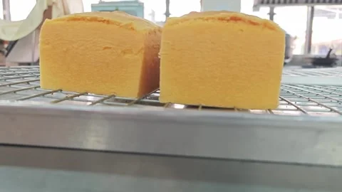 Eye-level view of two freshly baked sponge cake blocks on a cooling rack. Stock Footage 346472353