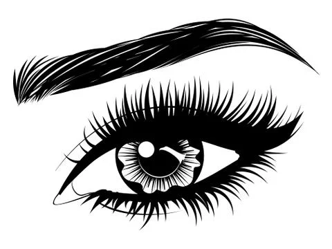 Eye with long eyelashes and brows 스톡 일러스트