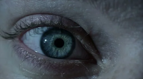 Eye looking arround Macro Vidéo 57121063