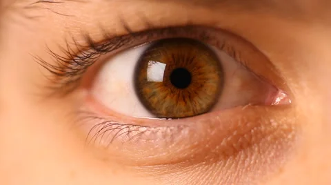 Eye Macro - 03 - Rapid Movement  Stock Footage 1244893