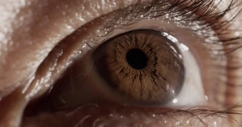 Eye Macro, Brown Stock Footage 165244269