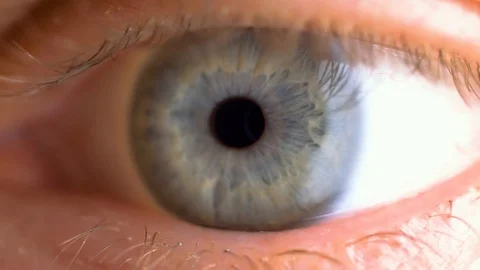Eye macro close up Vidéo 116105069