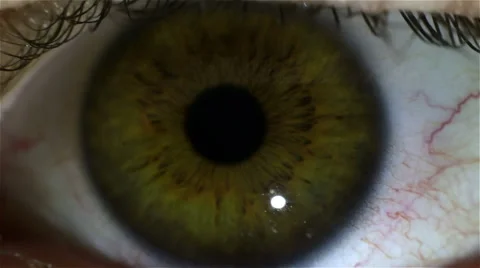 Eye macro - closeup - calm Stock Footage 40633065