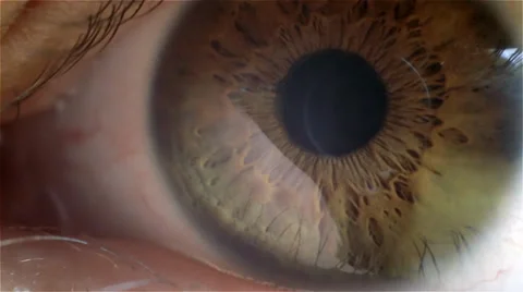 Eye macro - closeup Stock Footage 36235513