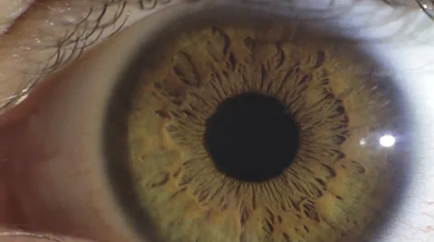 Eye macro - closeup Stock Footage 36235527