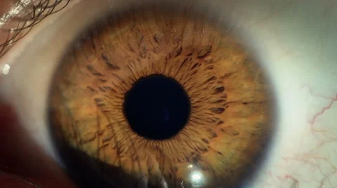 Eye macro - closeup Vídeo Stock 45600453
