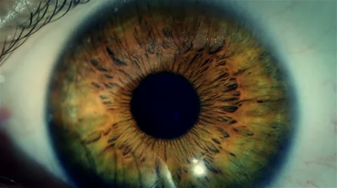 Eye macro - closeup Stock Footage 45601020