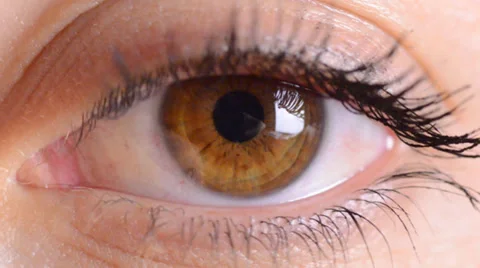 Eye macro Vídeos de archivo 30318640