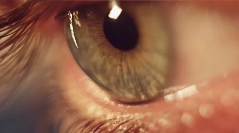 Eye. Macro. Video stock 68863588