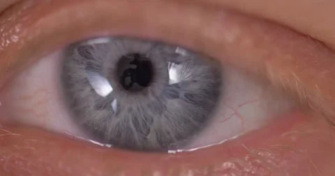 Eye macro Stock Footage 127399122