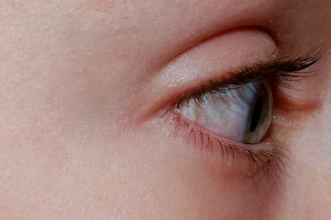 Eye macro page Stock Photos