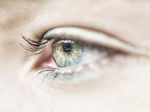 Eye macro Foto stock