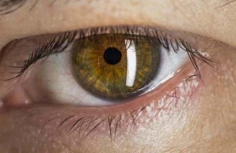 Eye macro Stock Photos