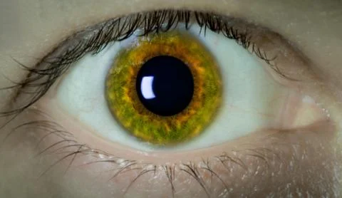 Eye macro Stock Photos