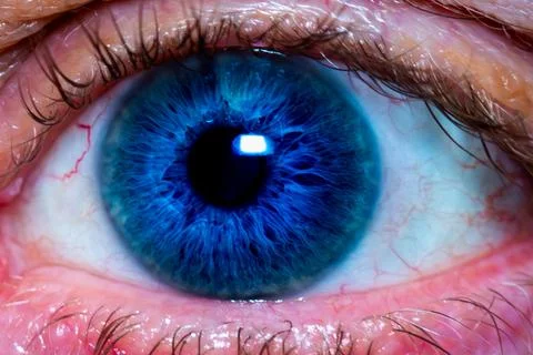 Eye Macro Stock Photos