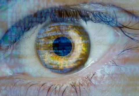 Eye macro with software code overlay Stock Illustration