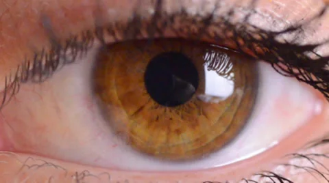 Eye macro...zoom in Stock Footage 30317935