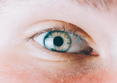 Eye Of Man Stock Photos