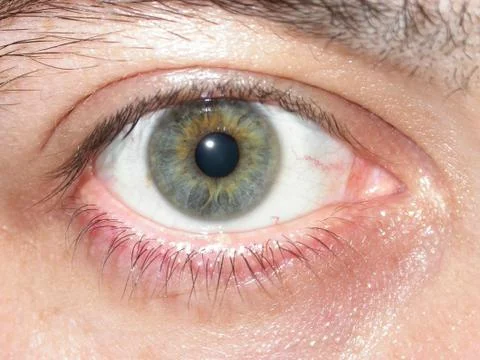 Eye of man Stock Photos