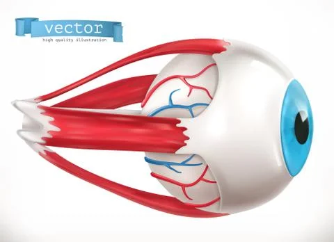 Eye. Medicine 3d vector icon Stock Illustration