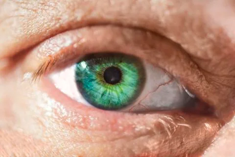 Eye men  human  close-up Stock Photos