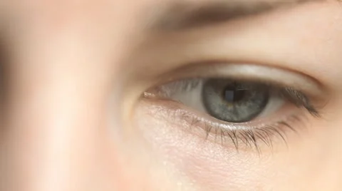 Eye movement when reading Stock-Footage 64127714