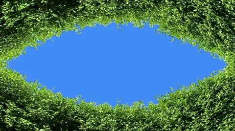 Eye Of Nature Stock Footage 10886860