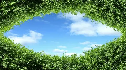 Eye Of Nature Stock Footage 10886865