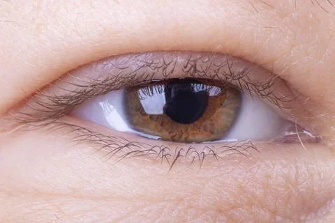 The eye is open. studio lighting. the girl is aged from 30 to 45 years. aging Stock Photos