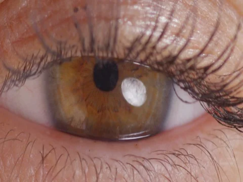Eye Opening Blinking Macro Close Up Slow Motion 200fps 4K Stock Footage 70069544
