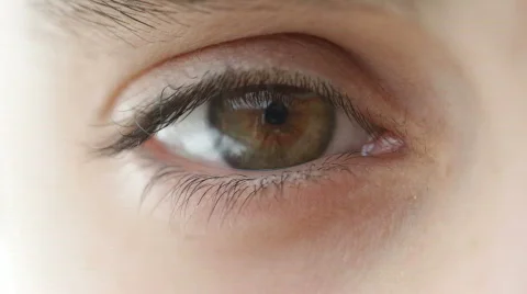 Eye of the person Видео 677609