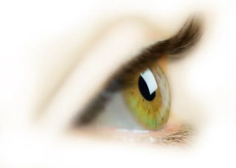 Eye Stock Photos