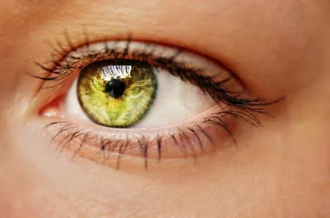 Eye Stock Photos